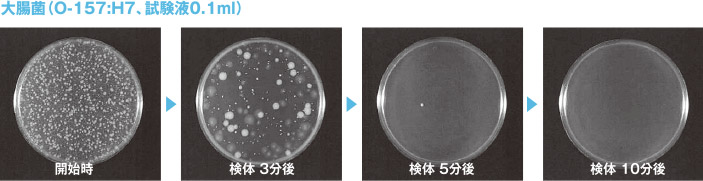 大腸菌（O-157:H7、試験液0.1ml） 