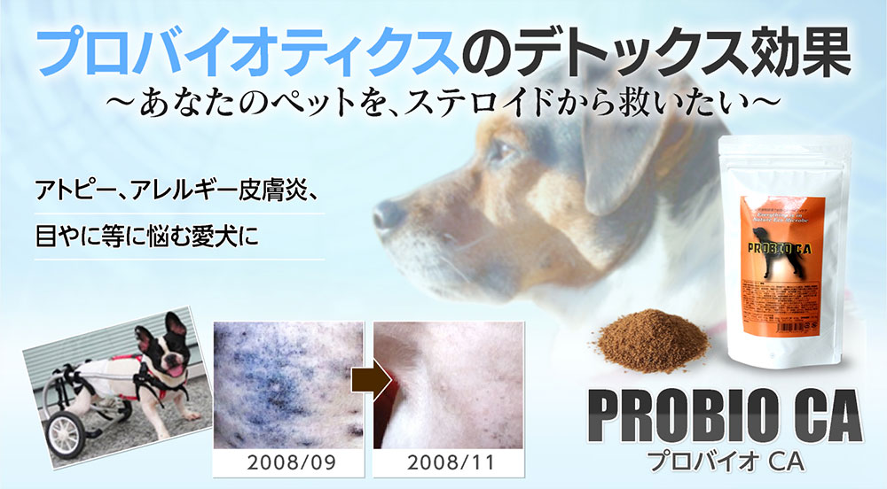 犬のアレルギーやアトピー 犬の病気 皮膚病 膿皮症対策はプロバイオcaで